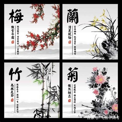 梅蘭菊竹象徵|中國文化通識｜花中四君子是甚麼？